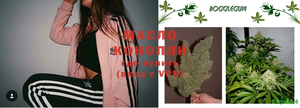 дживик Горняк