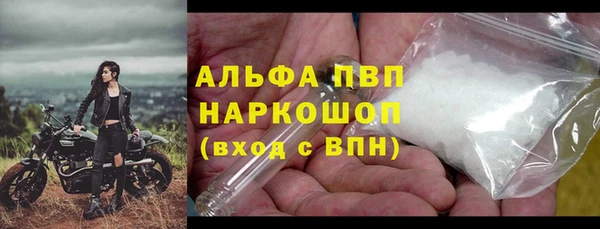 дживик Горняк