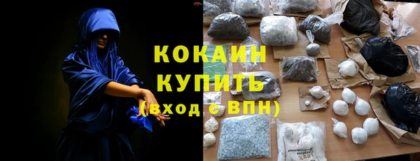 дживик Горняк