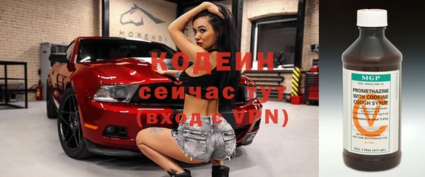 дживик Горняк