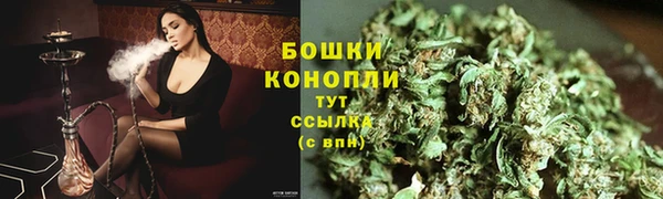 дживик Горняк